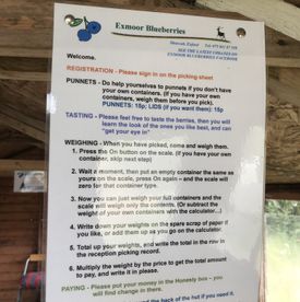 PYO blueberries reception hut - instructions