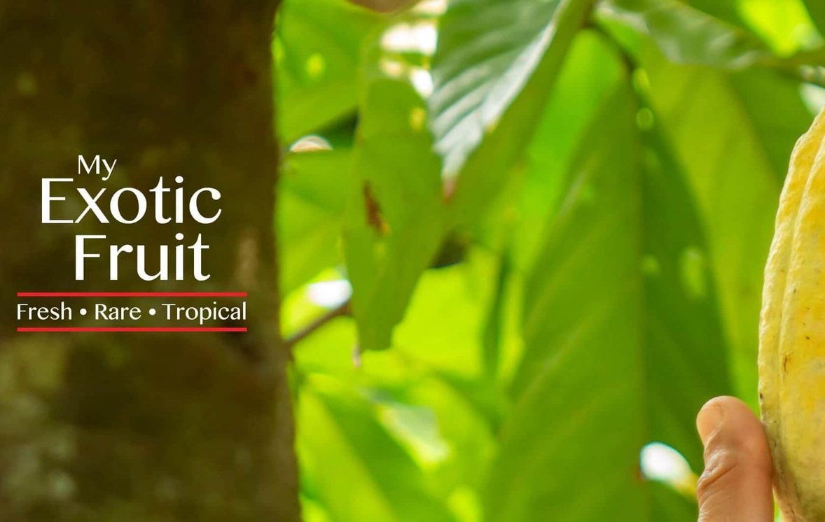 My Exotic Fruit – The No 1 website for all your tropical fruit!