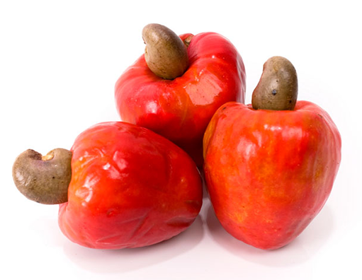 cashew fruit price