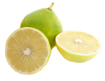 Bergamot Fruit For Sale Uk