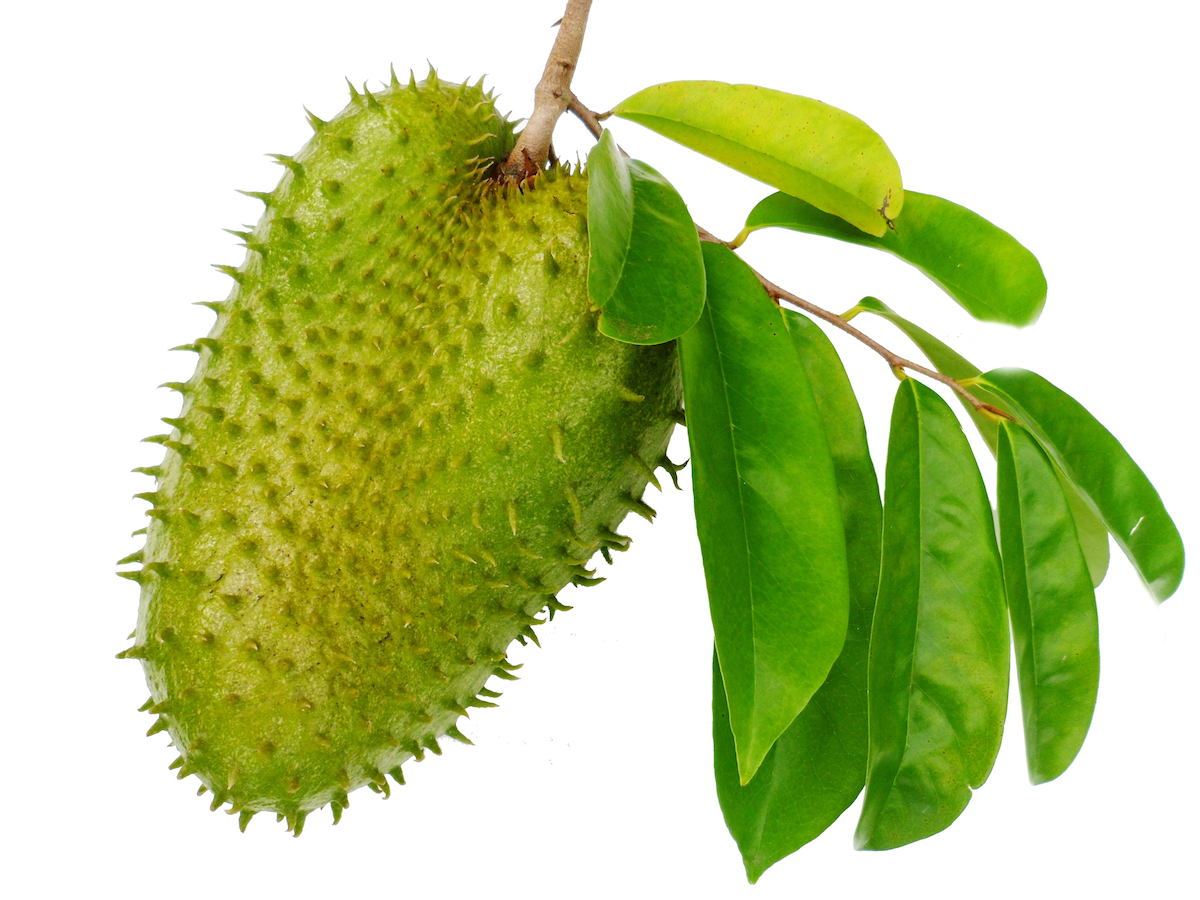 Soursop Selection Pack My Exotic Fruit